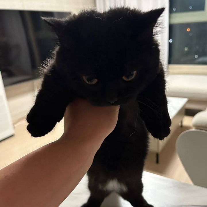 뉴스